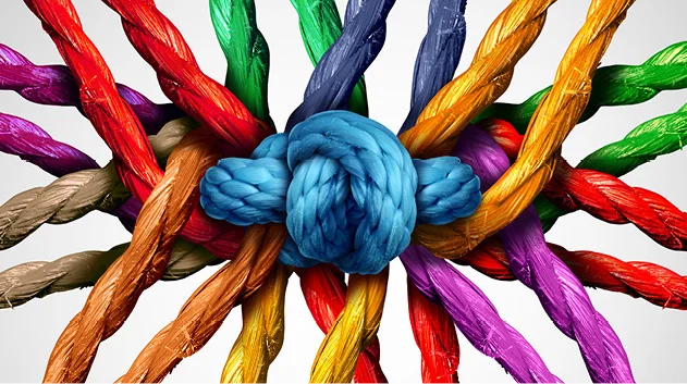 diversity knot of colors.jpg