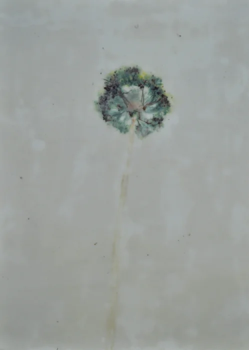 encaustic a llium pounding. My experiments with flower preservation have been a meandering journey of curiosity and whimsy. It is July in the Midwest and we are in the time of flower abundance. Our yard is filled with beebalm, allium, echinacea, hydrangea and an assortment of other blooms. Over the course of the past six weeks I have honed my flower drying, pressing and pounding techniques. I have photographed flowers and coated said photos in wax. I have pounded flowers into hot press watercolor paper brushed with a wash of alum then adhered these pounding to birch plywood and coated them in beeswax. I have pressed flowers between pages of book and pieces of blotter paper and weighted down cardboard. I've stitched tried and true mending and embroidery stitches onto paper and paired these stitchings with pressed flowers. The results swirl around me now and crowd my studio with ghostly whispers of the flowers that once were. The wax coated poundings seem to echo stories of long ago while the mendings with pressed flowers hold more possibility, like they've been given a second chance, a new opportunity, a chance to explore being from a different perspective.