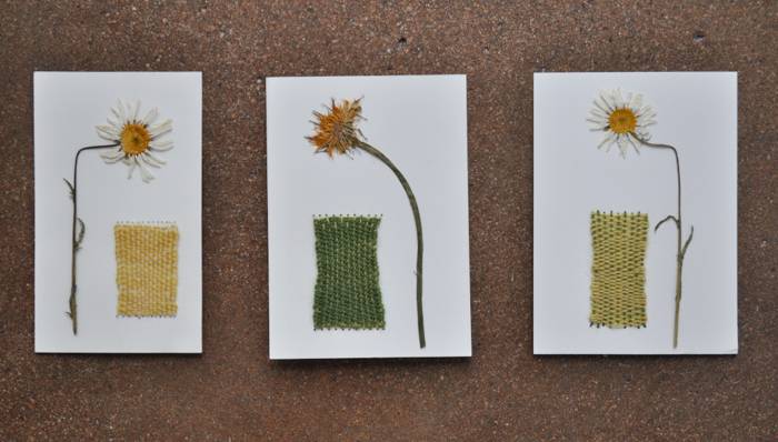 pressed daisies & dandelions with basic weaving.