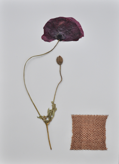  poppy with basic weaving.