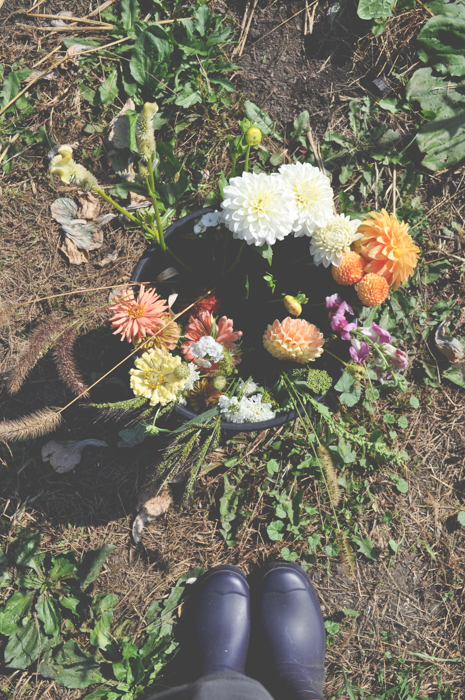 Last weekend I had the great pleasure of attending a workshop hosted by the brilliant lovelies at Field & Florist . They seem to have created the perfect business balance. Not only do they farm a half acre field of organic flowers a short drive from Chicago's city limits, but they sell flower shares, much like a CSA where instead of a weekly box of vegetables you get a bouquet of flowers. They also sell wholesale blooms and provide flowers and floral design for events and weddings. These two are a dynamic powerhouse who have cultivated a beautiful aesthetic and unique business model in the flower industry.