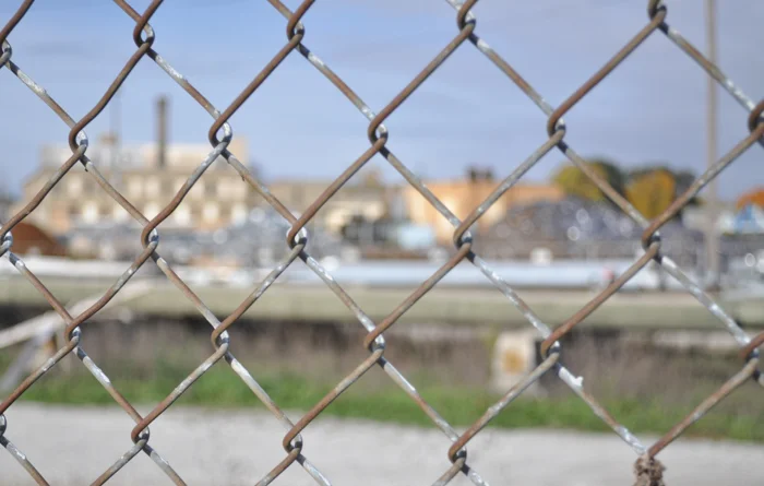 through the fence.jpg