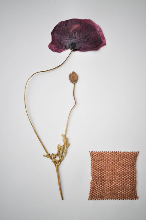 These are the results and I am a bit excited about them. Sure they don't bring the actual flower back to life, but maybe they give it some new life or harness the essence of what it once was. I have a stack of flowers waiting to tell their stories and listening to their echoes is sure to help me through these winter months. I guess it's one way of dealing with the winter blues. That, and dreaming about the seeds to be planted in the Spring.