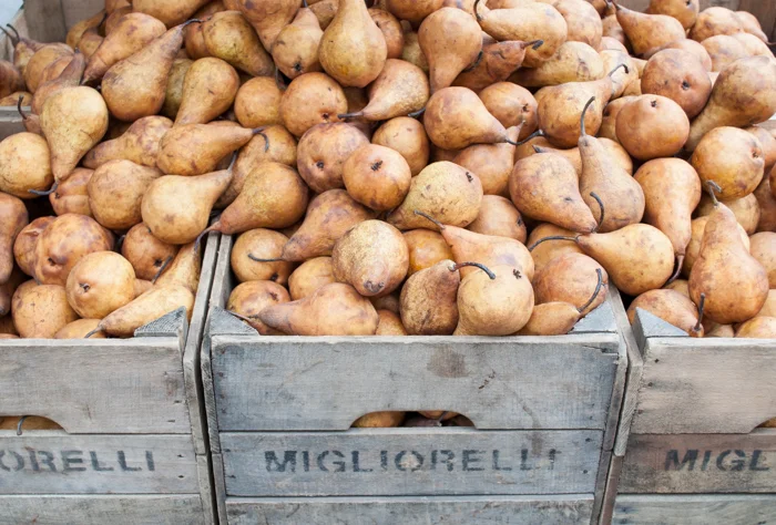 pears.jpg