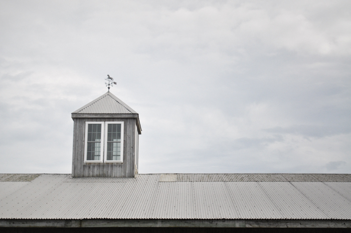 over the roof and far away.jpg