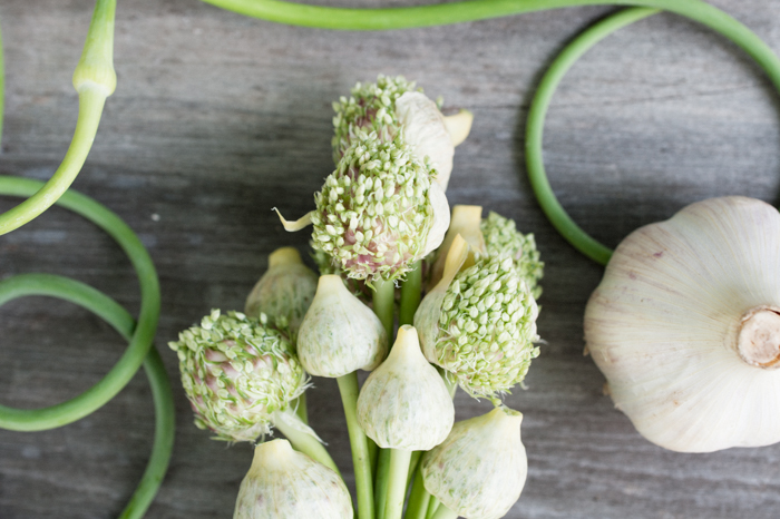 garlic three ways.jpg