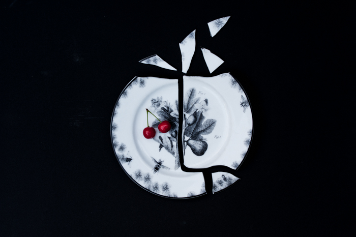 fractured & fruiting.jpg