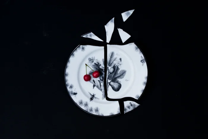 fractured & fruiting.jpg