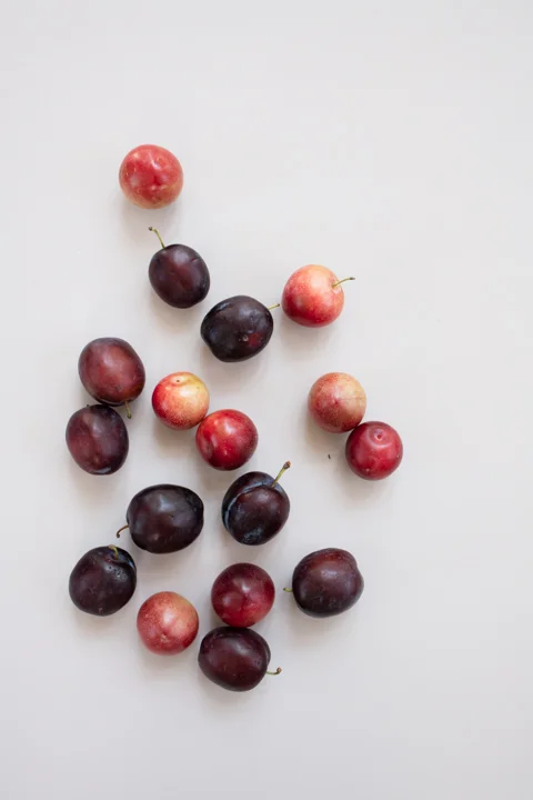 foodstuffs-3.jpg
