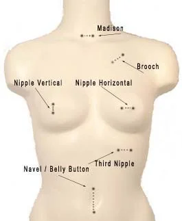 torso101.jpg