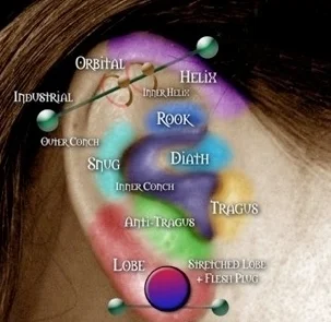 ear101.jpg