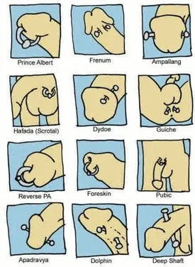 Penis101.jpg