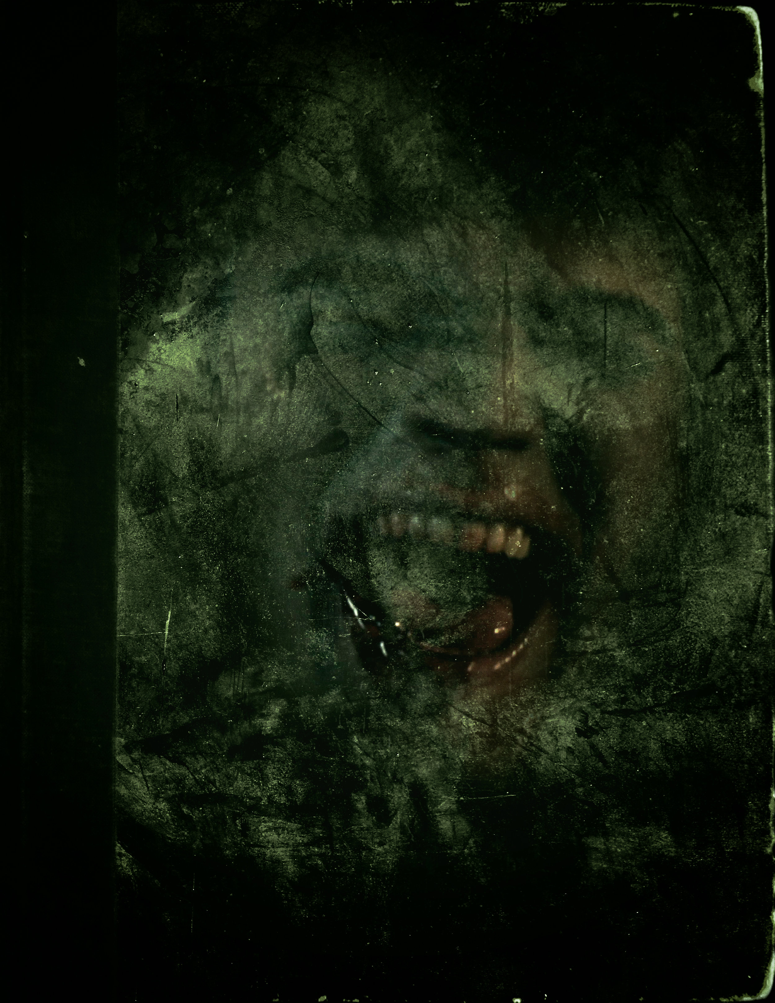 backCover.jpg