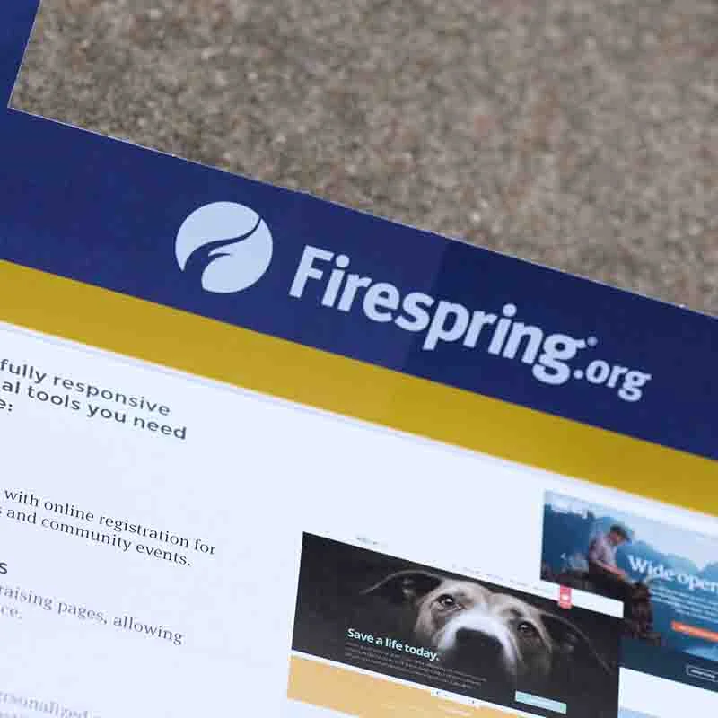Firespring.jpg