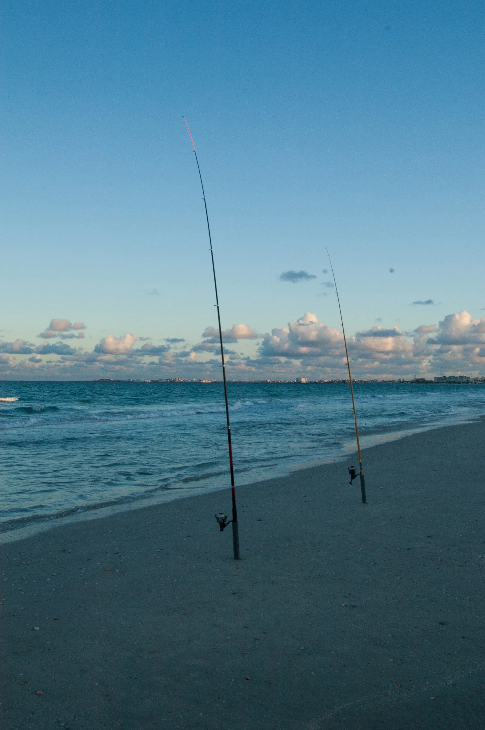 DSC_5153.jpg