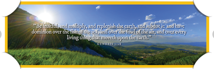HDWGH_Genesis128