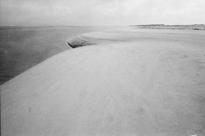 BW01.jpg
