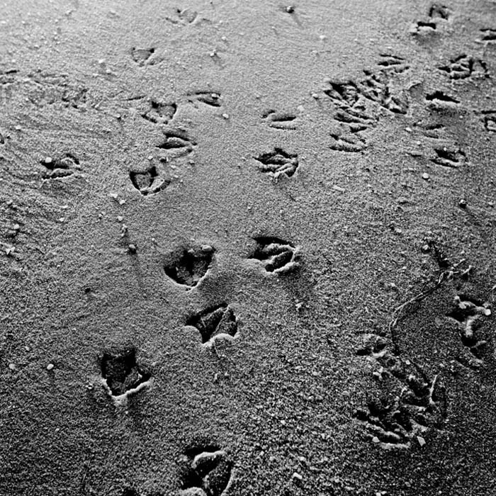 BW08.jpg