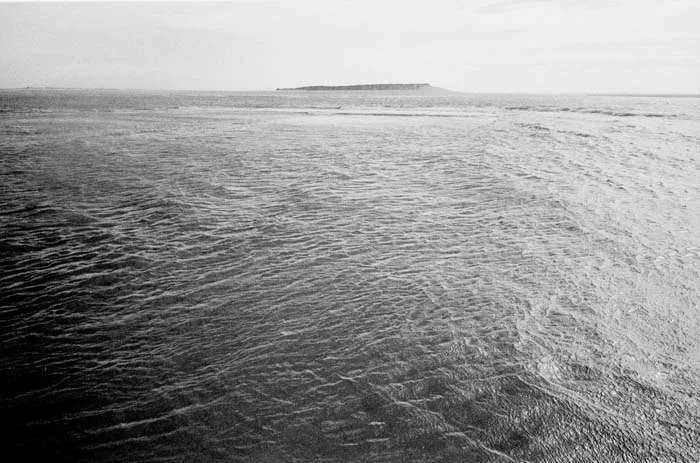 BW03.jpg