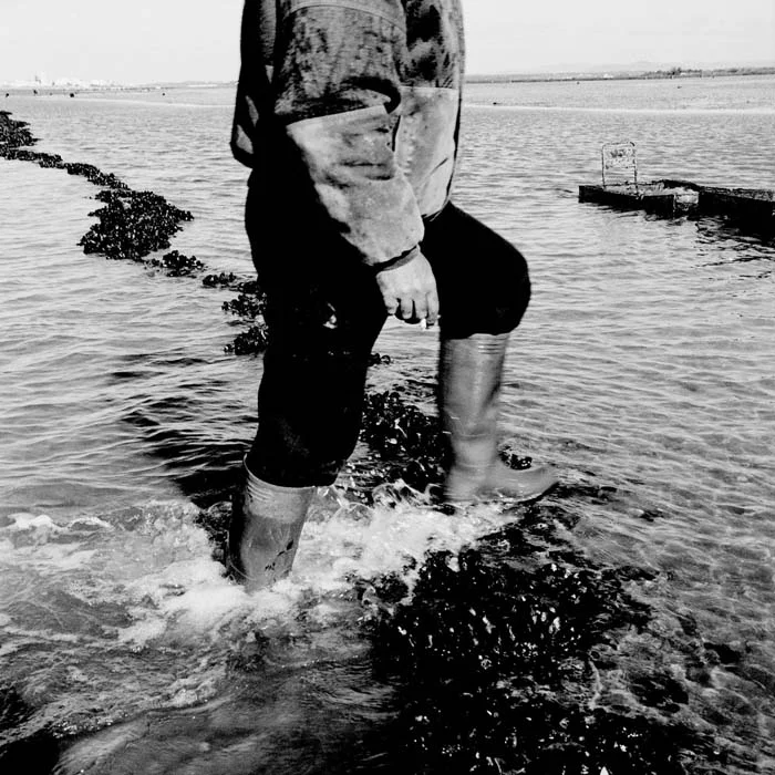 BW05.jpg