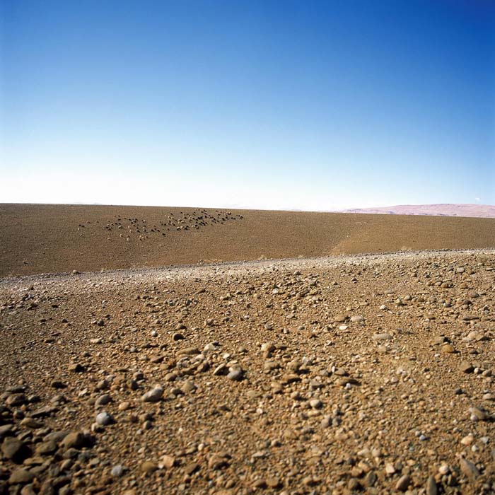 Marroco 06.jpg