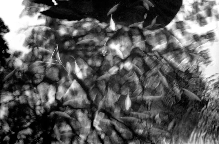 scan-135.jpg