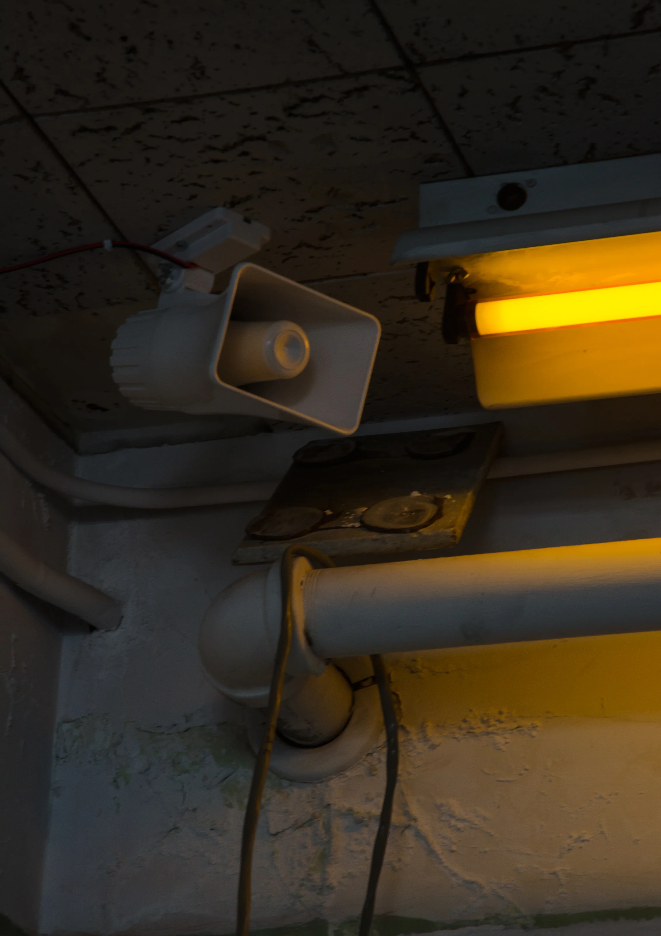 yellow-light-speaker-1.jpg
