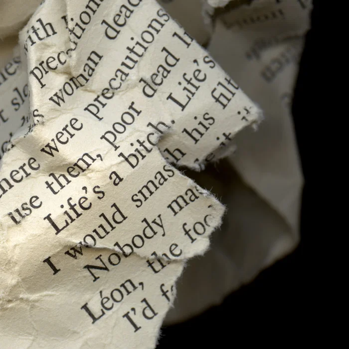 Life's A Bitch Weeping Bay by Joy Davidman, 1950 To capture the essence and frustration inherent in the phrase, “life’s a bitch”, I imagined the author sitting at her desk, frustrated with her manuscript, pulling pages from her typewriter, crumpling them up and throwing them at the wastebasket.