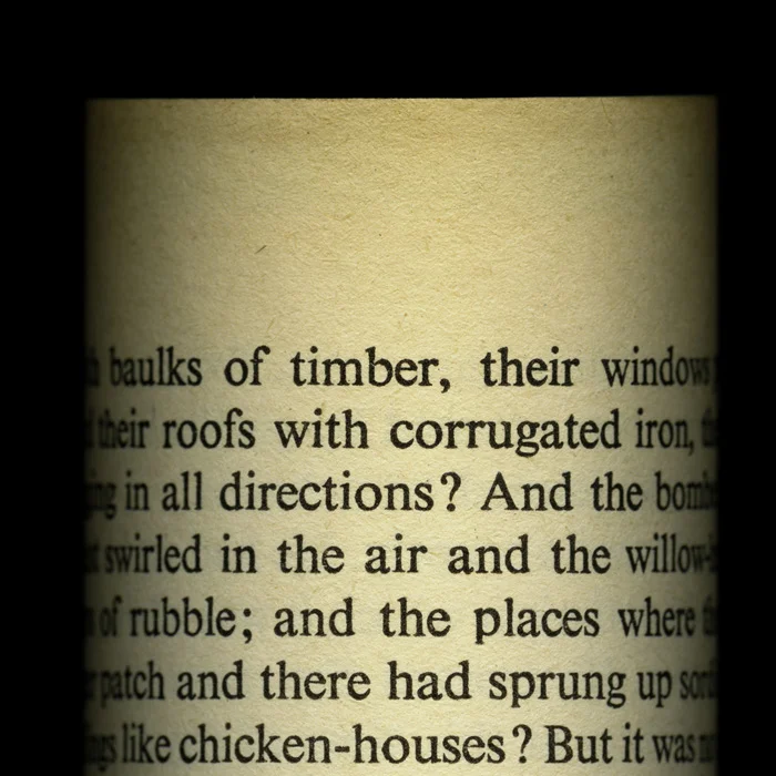 Detail from WAR IS PEACE Nineteen Eighty-Four George Orwell, 1949 In this piece I highlight the three slogans of the Ministry of Truth (Minitrue) -- War is Peace. Freedom is Slavery. Ignorance is Strength. Orwell’s warning of the possibility of a dystopian future at the hands of an oppresive government is especially relevant in today’s world of “fake news” and “aternative facts”. Here I have formed the page into the shape of a kiosk plastered with government propaganda, such as one might encounter on a street corner.