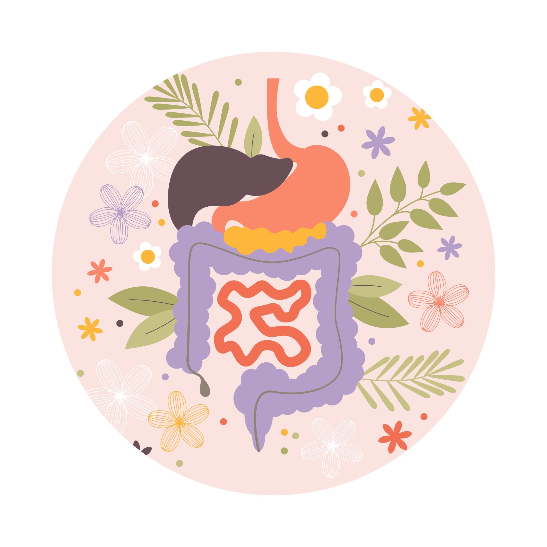 Late Summer Digestion Reset