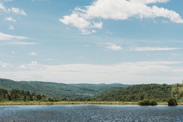 The best view you could ask for! Thank you Michelle Frederick Photography