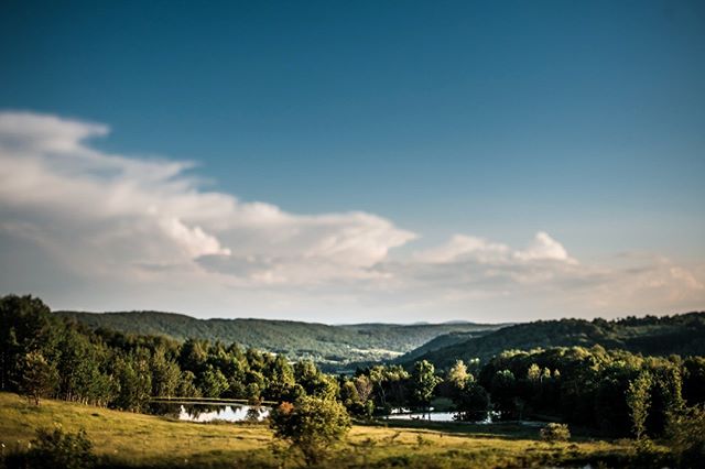 How gorgeous are these views? Thank you @kalzphotography for capturing our farm