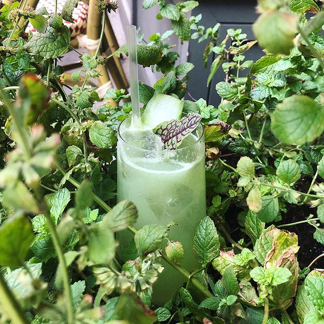 Fresh summer cocktail, only at Blenheim! Cucumber, gin and lime get together for the ultimate refresh party. Pairs well with spiced scallops 😉