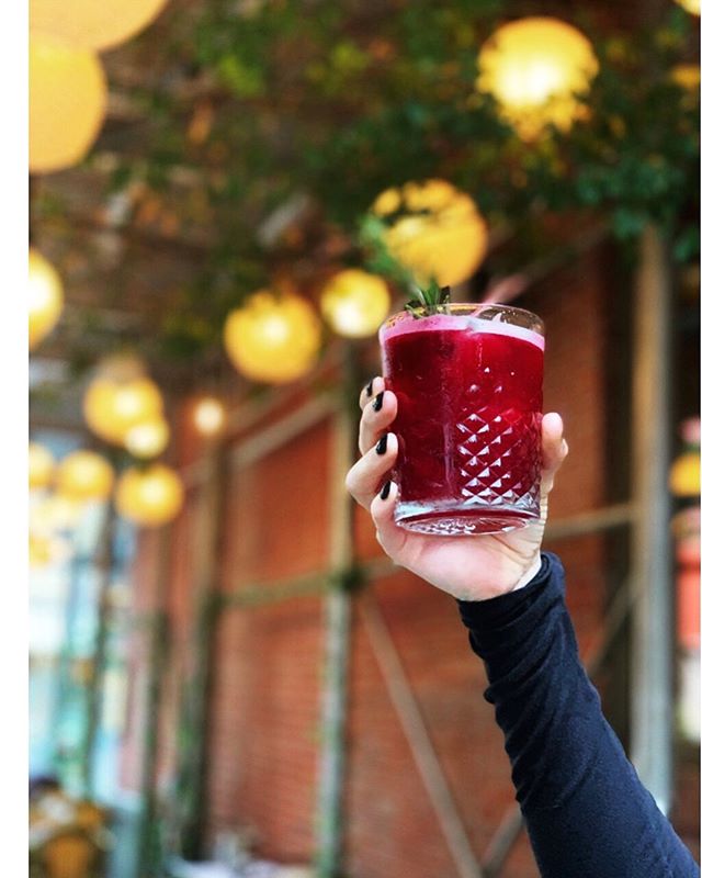 Beets by Blem, a delicious mix of housemade farm-fresh baby beets and rosemary with bourbon and lemon juice. It&rsquo;s a perfect transitional fall cocktail, refreshing and complex 🍹