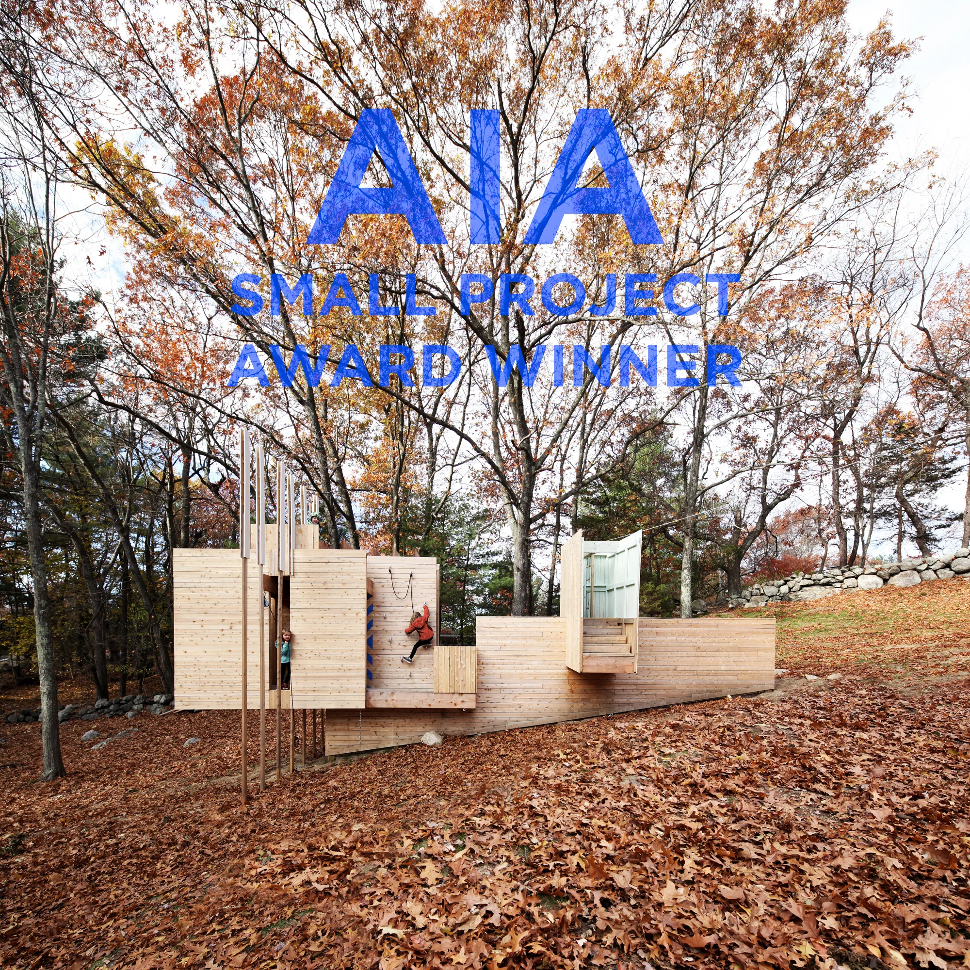 AIA-FIVE-FIELDS.jpg