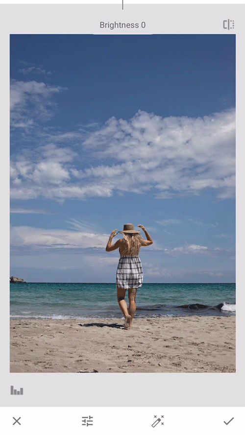 how-to-use-snapseed.gif