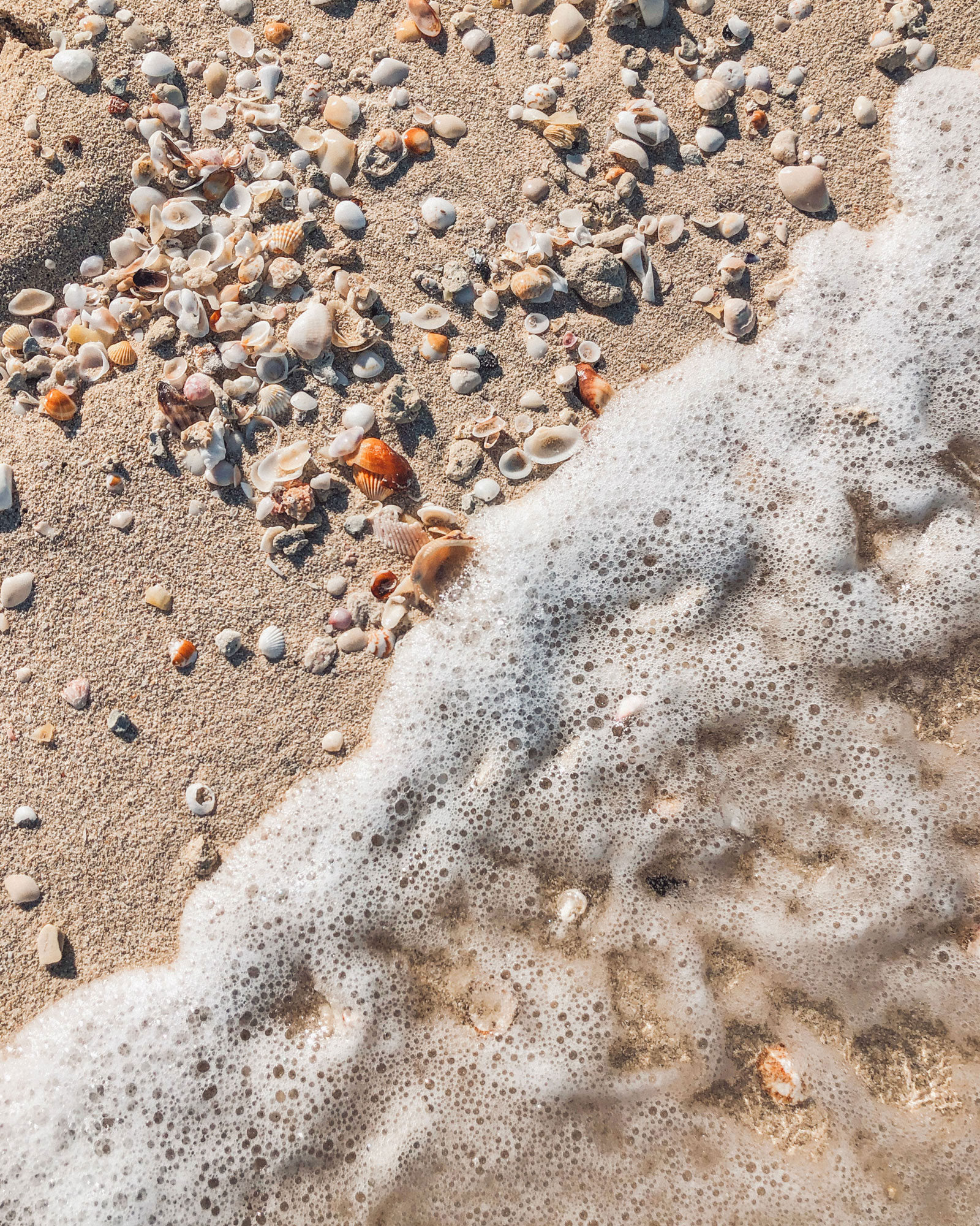 Seashell Sand Beach Travel Photography / Dubai Travel Tips