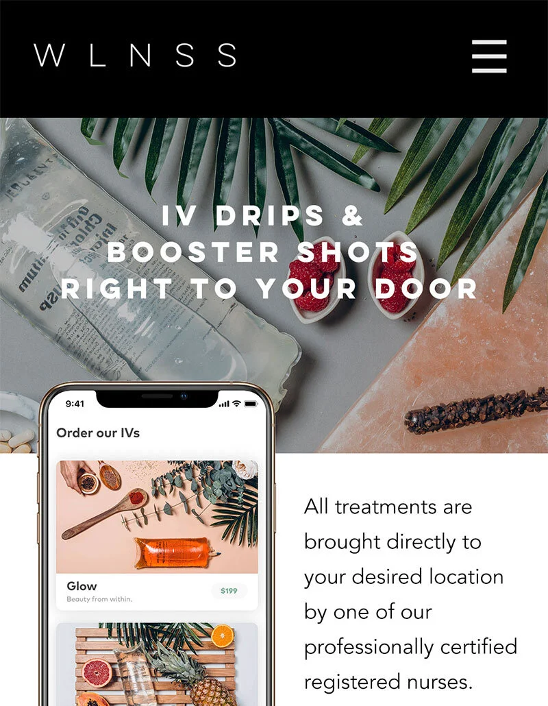 WLNSS Web Design