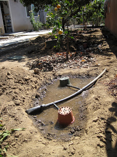 A basin designed to collect the water from the Laundry Machine at the drip line of the tree.&nbsp;This basin will be filled with mulch.