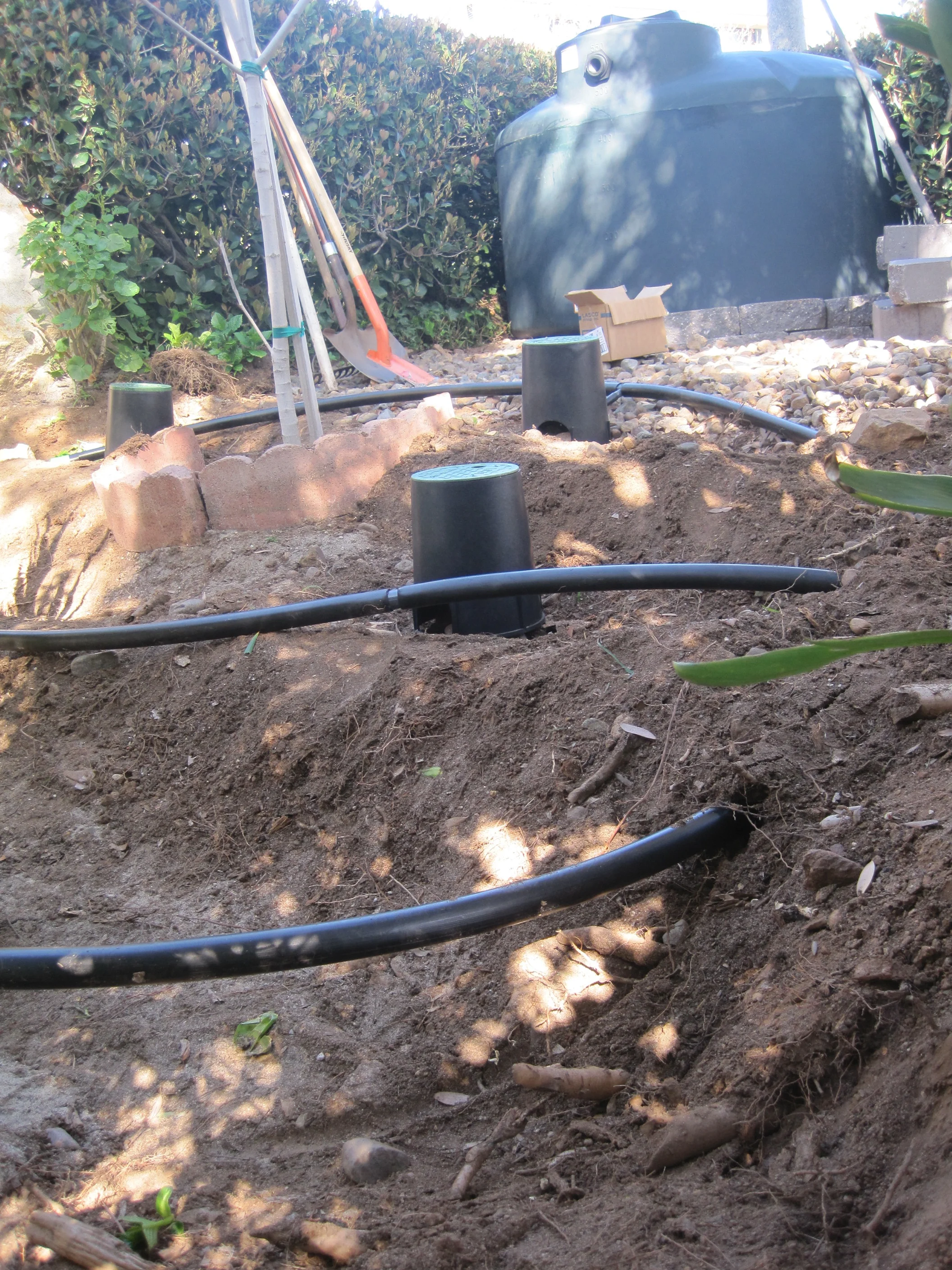 A 500 gallon tank integrated with laundry greywater