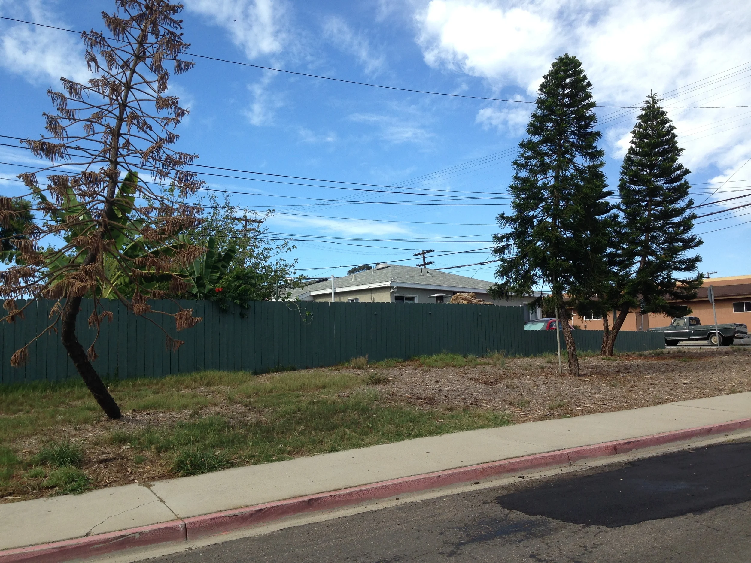 If you look closely, you'll notice that the two pines on the right have mulch spread beneath them. &nbsp;The pine on the left doesn't have mulch and has died.