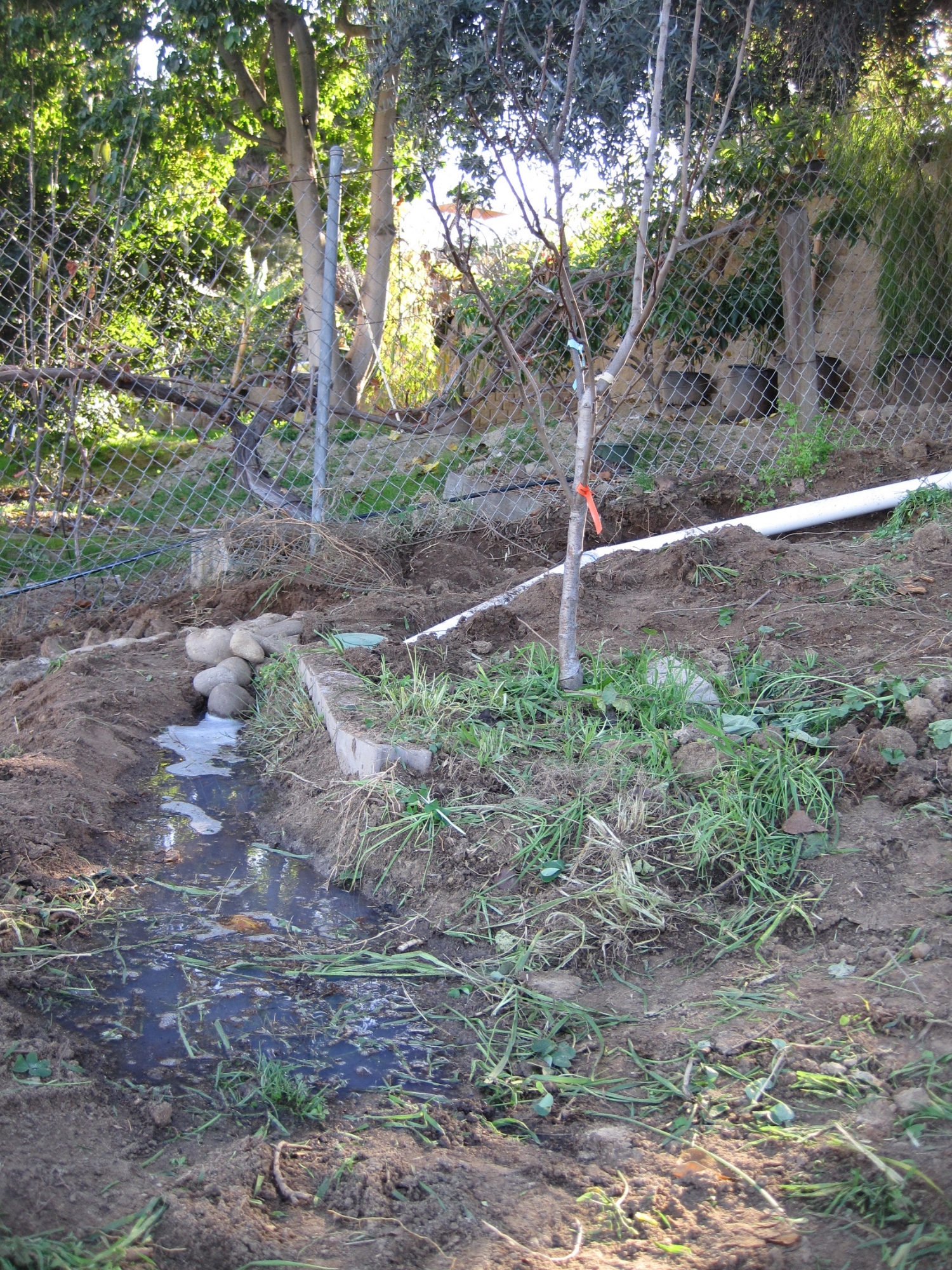Basin flooded with laundry water