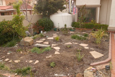 rainwater fed landscape