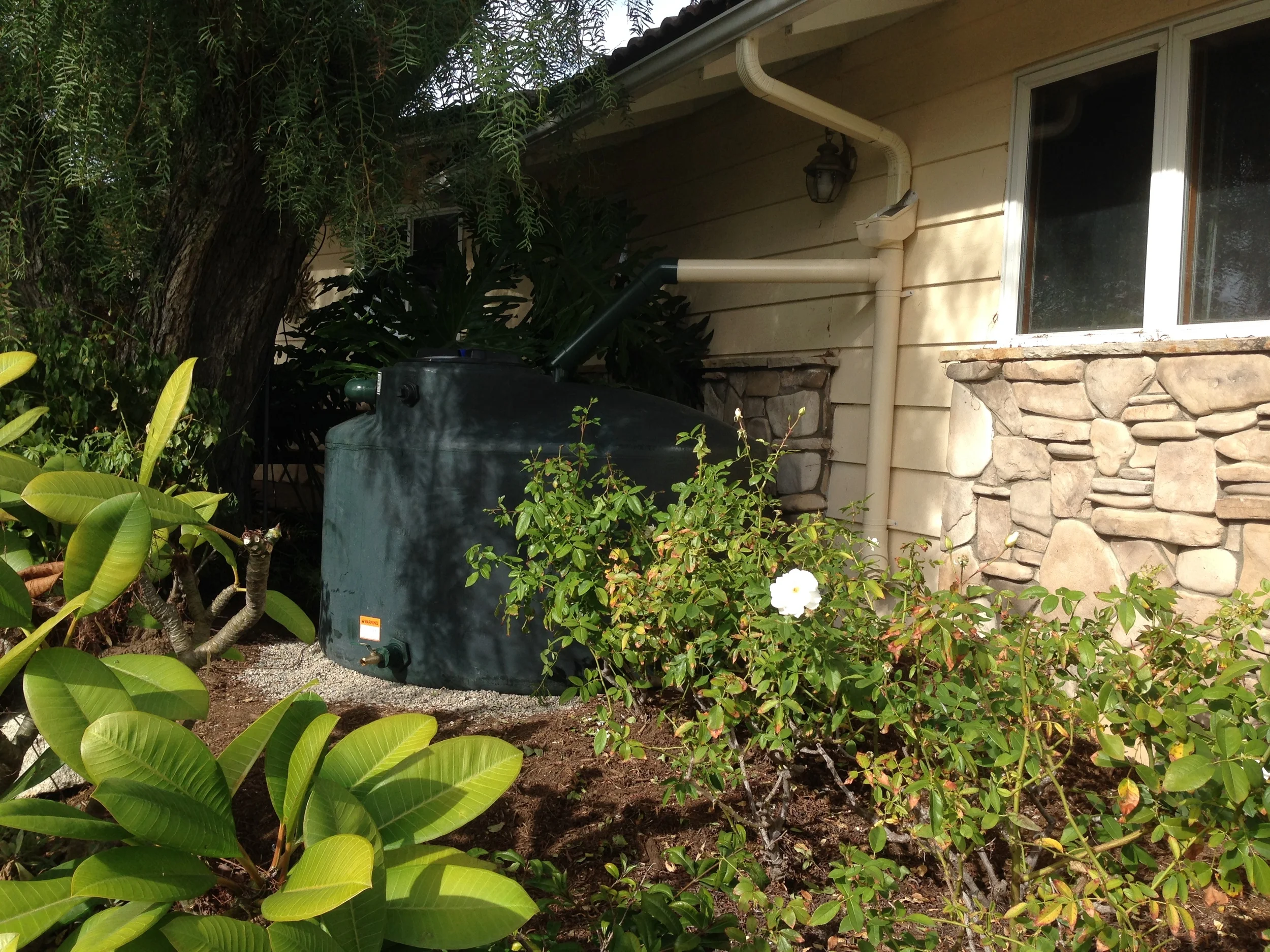 Low Profile 550 gallon Rainwater Tank