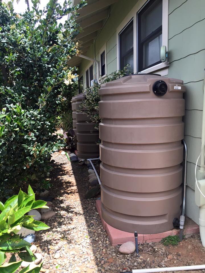 4 x 205 gallon rainwater tanks in this small sideyard add up to 800+ gallons for fruit trees to make it through the summer. &nbsp;