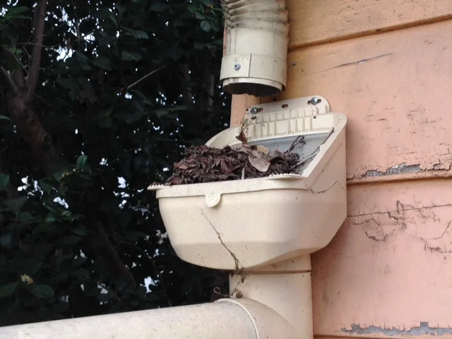 This is a great example of what mean leaf filters look like after this first rain. &nbsp;Through the autumn it may get worse. &nbsp;