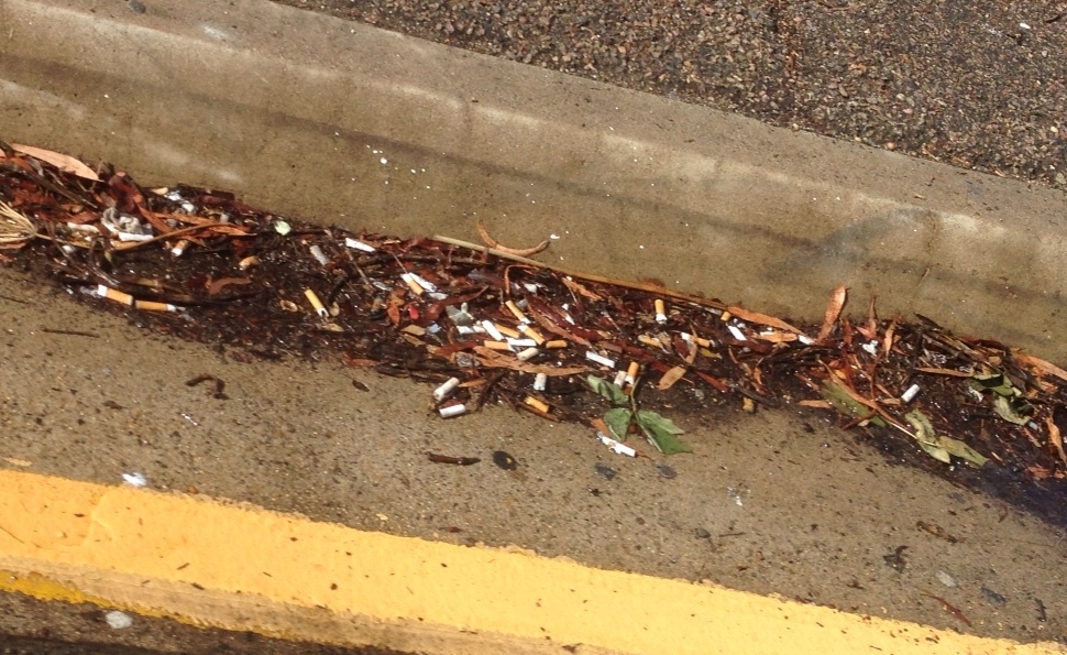 Cigarette butts accumulate at a freeway offramp after the rain.