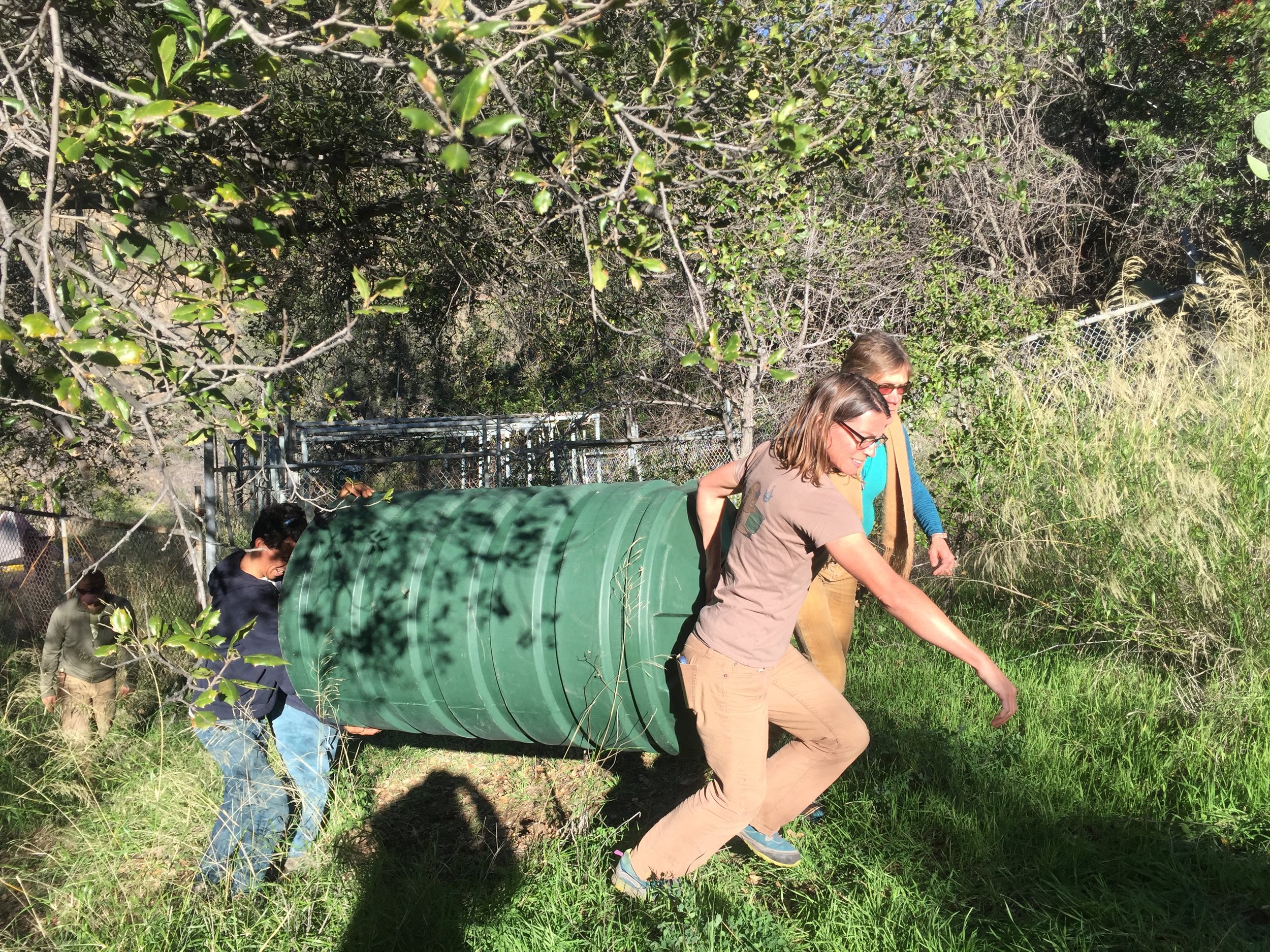 Placing the tank high in the landscape means better gravity flow to a specific location.