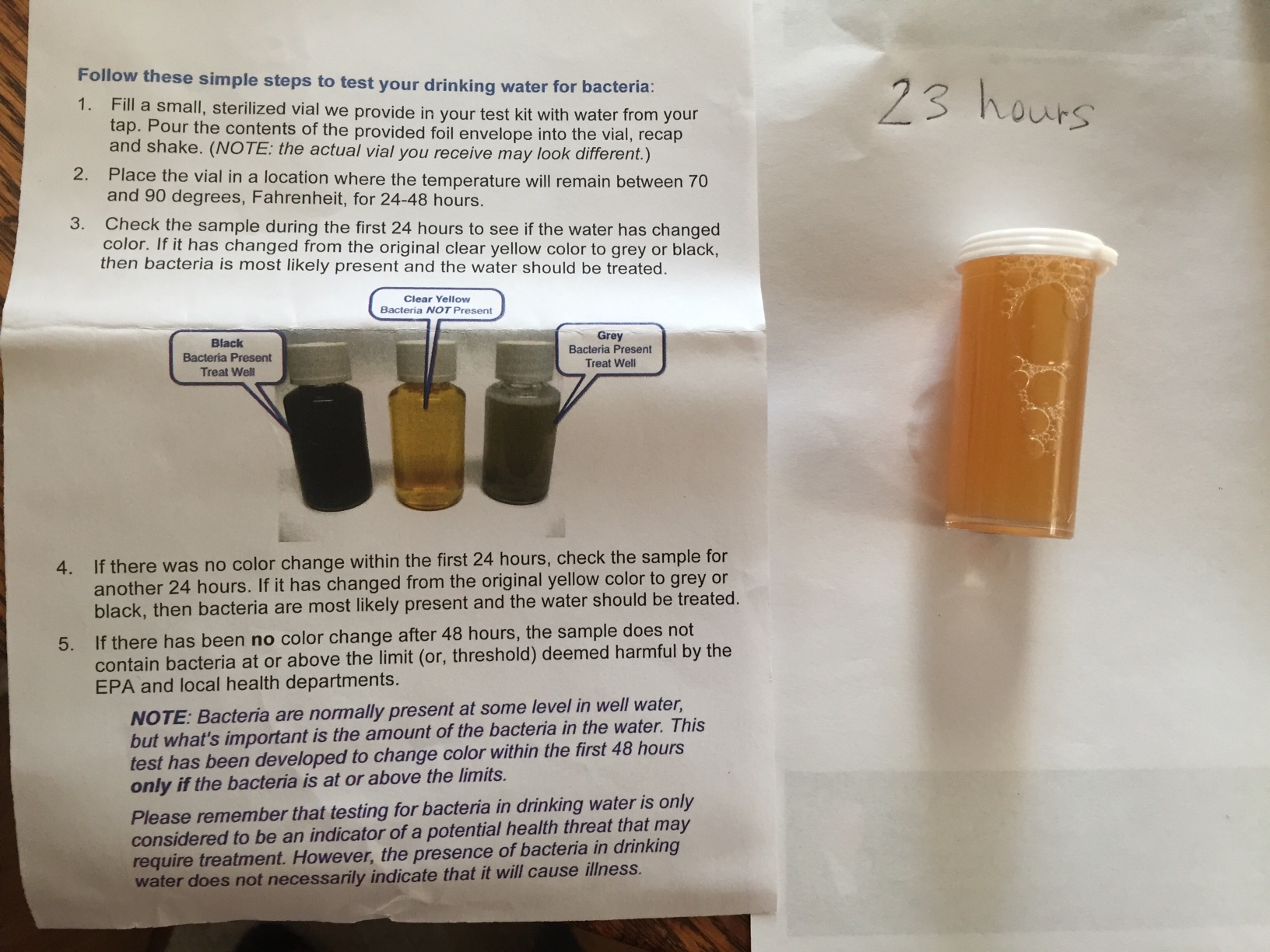 Our test is looking good! If bacteria levels would high, the color of the water would start changing to grey or black.