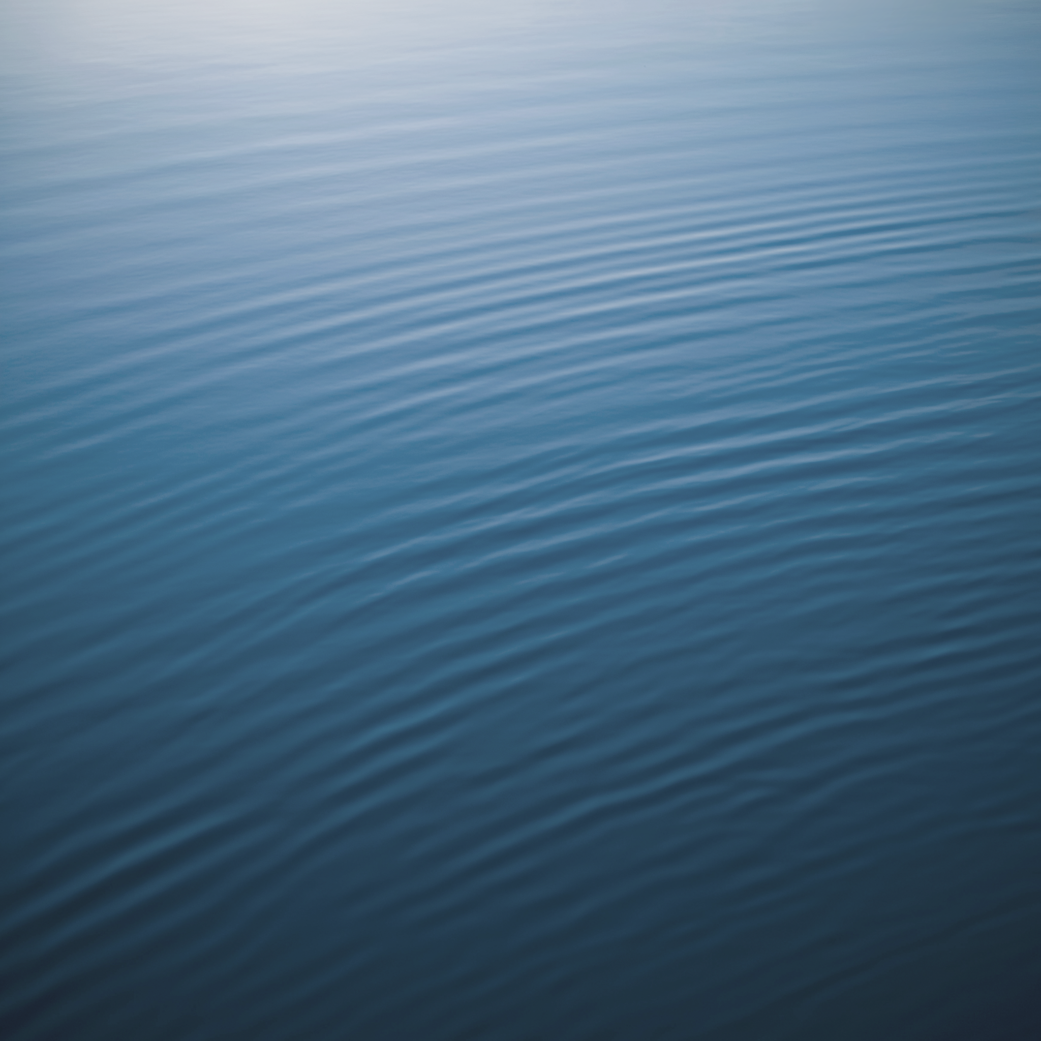 IMG_0042.PNG